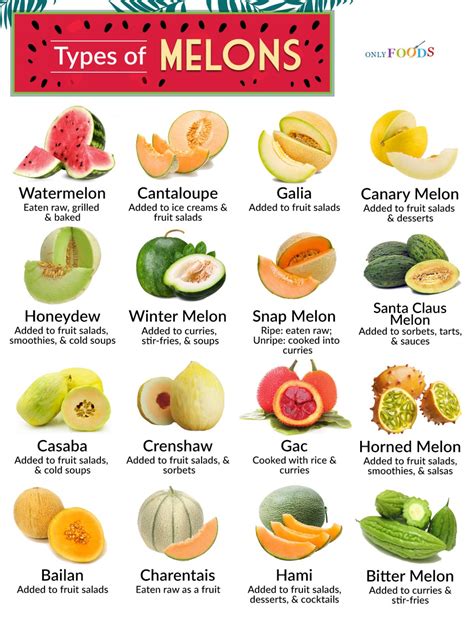 melons tibe|Melons of the World: 13 Melon Types